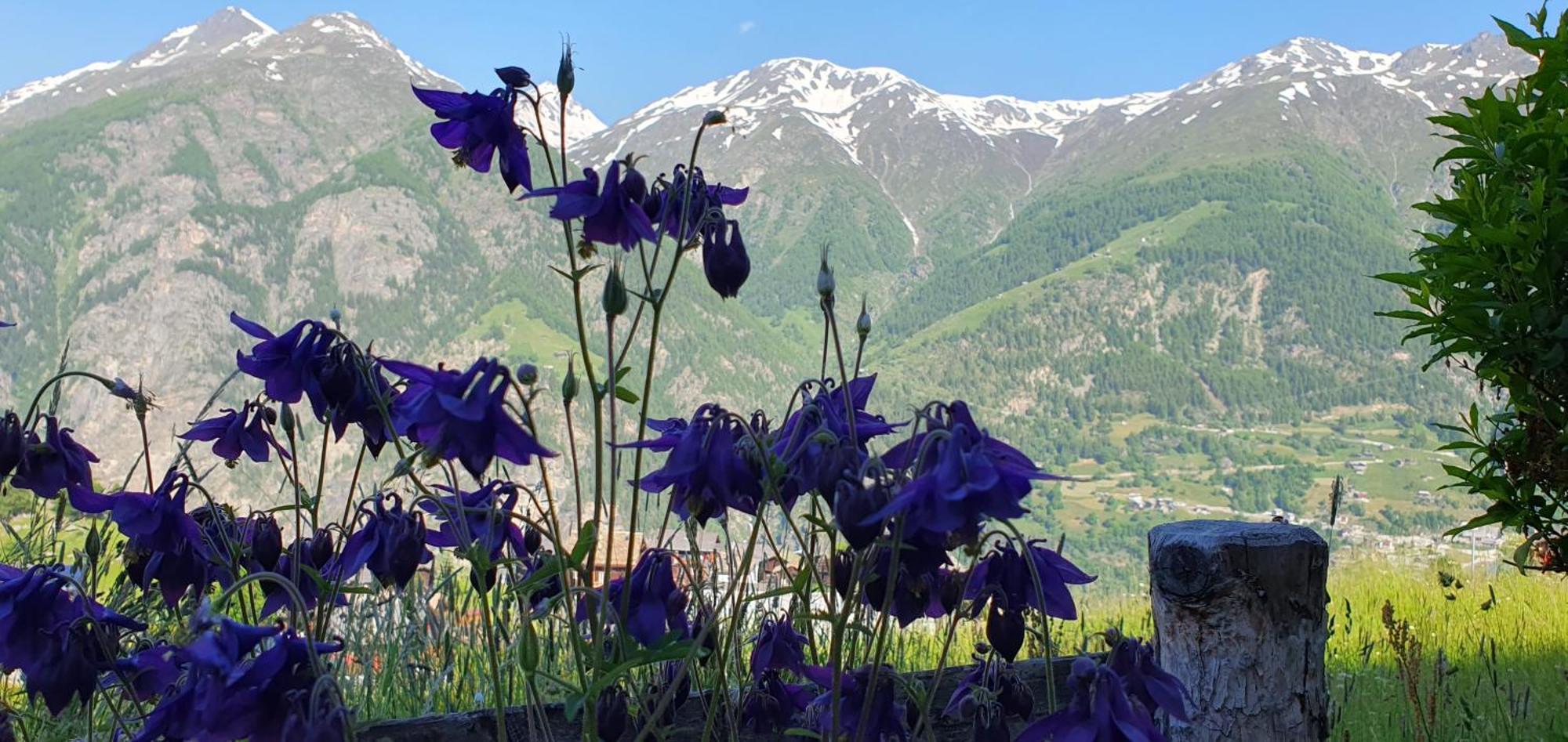 Chalet Schneevogul Грахен Экстерьер фото